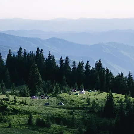 Alpin & Wellness Resort Hotel Ludwig Royal Hotel 4*