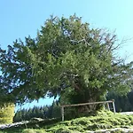 Hotel Alpin & Wellness Ludwig Royal Oberstaufen
