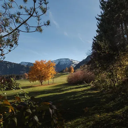 Alpin & Wellness Ludwig Royal 4* Oberstaufen